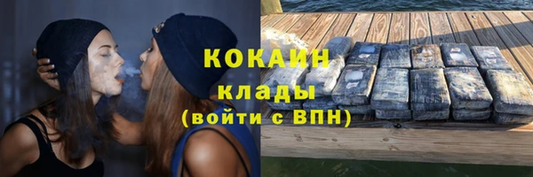 эйфоретик Арсеньев